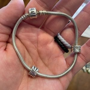 Pandora Charm Bracelet